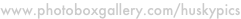 shapeimage_1_link_41
